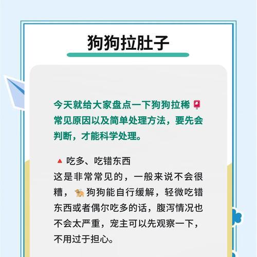 狗狗肚子疼有哪些表现？如何判断和处理？