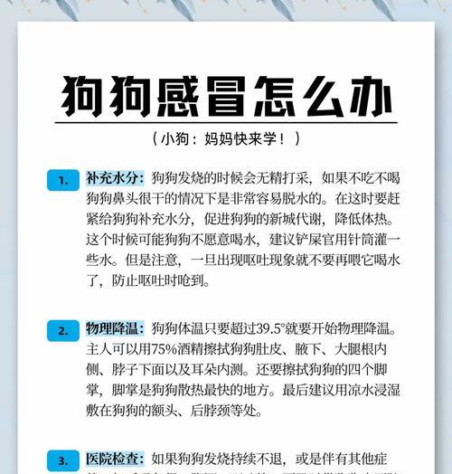 刚满月的小狗感冒了怎么办？有哪些家庭护理措施？