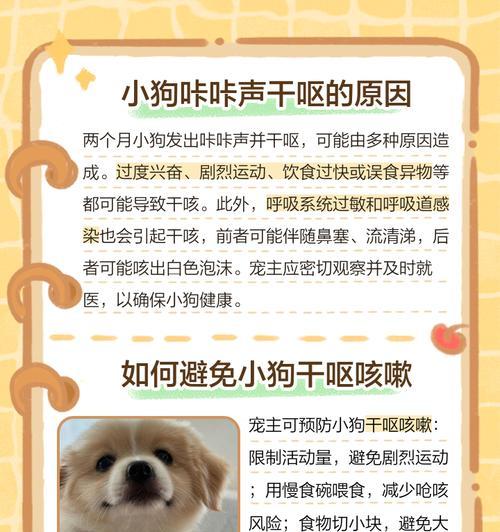 狗狗干咳干呕咔的家庭护理技巧是什么？