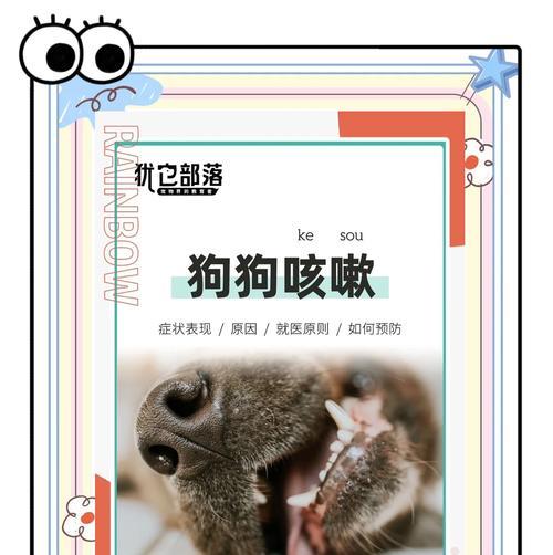 狗狗干咳干呕咔的家庭护理技巧是什么？