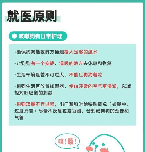 狗狗干咳干呕咔的家庭护理技巧是什么？