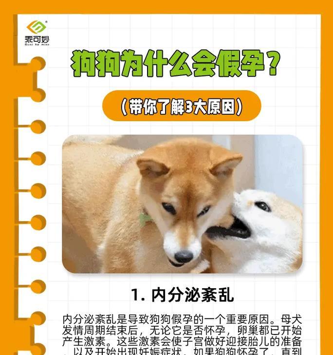 怀孕的狗狗可以吃鱼头吗？对胎儿有影响吗？