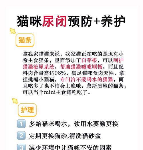 猫咪尿路感染能否自愈？需要采取哪些措施？