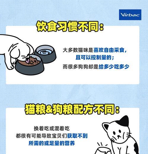 暴躁猫狗配粮如何选？正确的喂养方法是什么？