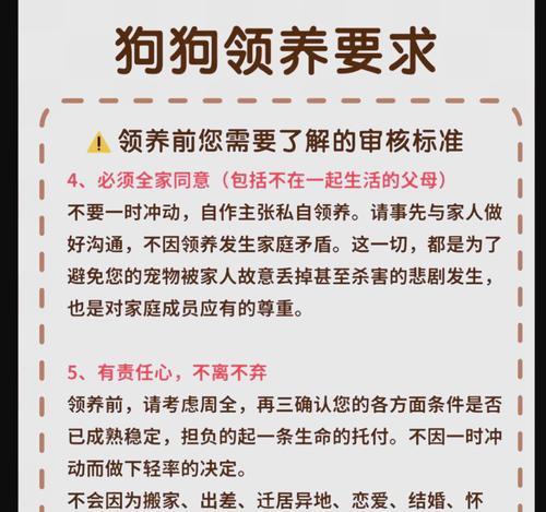 收养泰迪的流程是怎样的？