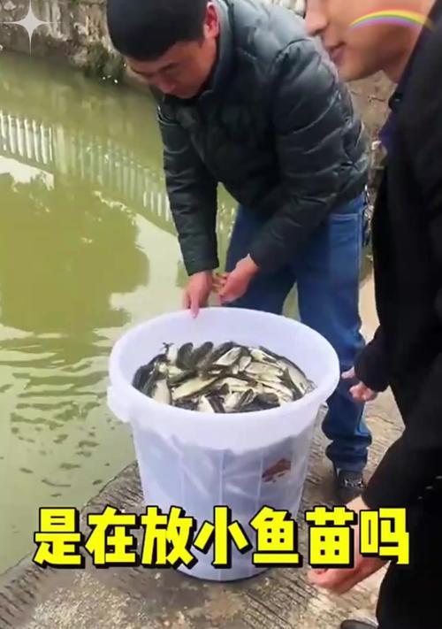 收购小鱼苗犯什么罪？可能的法律后果有多严重？