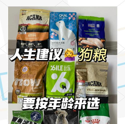 频繁更换狗粮可行吗？对狗狗健康有何影响？