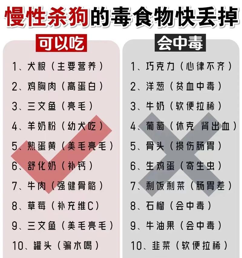 频繁更换狗粮可行吗？对狗狗健康有何影响？
