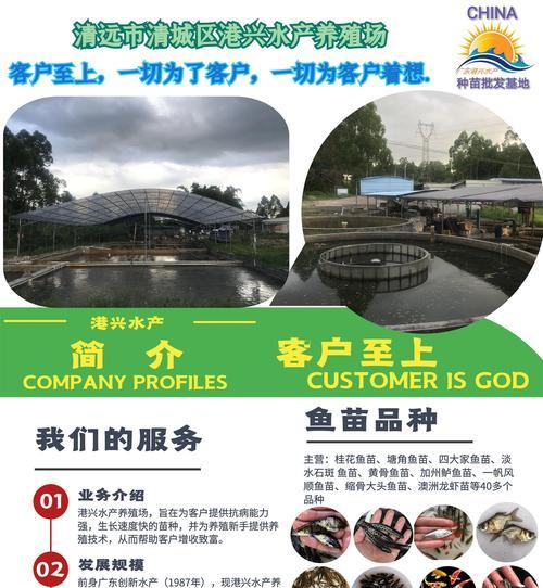 鱼苗出售环境标准有哪些？