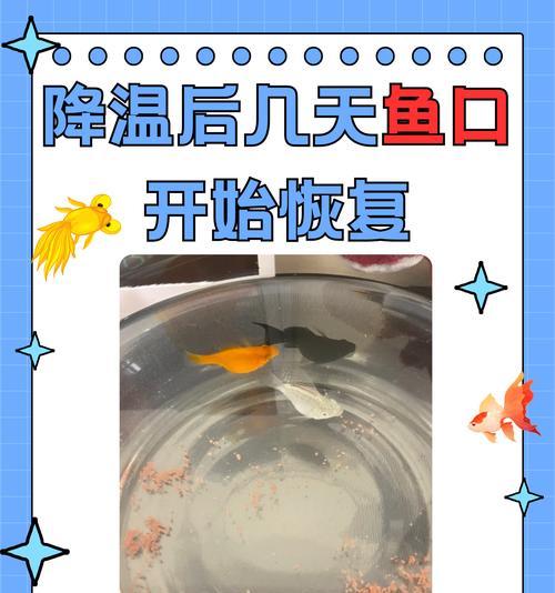 如何避免鱼苗死亡？
