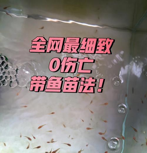 如何避免鱼苗死亡？