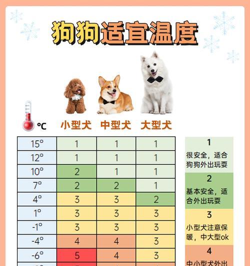 柴犬冬季御寒温度需求是多少？保暖措施有哪些？