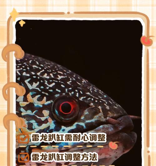 雷龙鱼苗趴底不动的原因？解决方法有哪些？