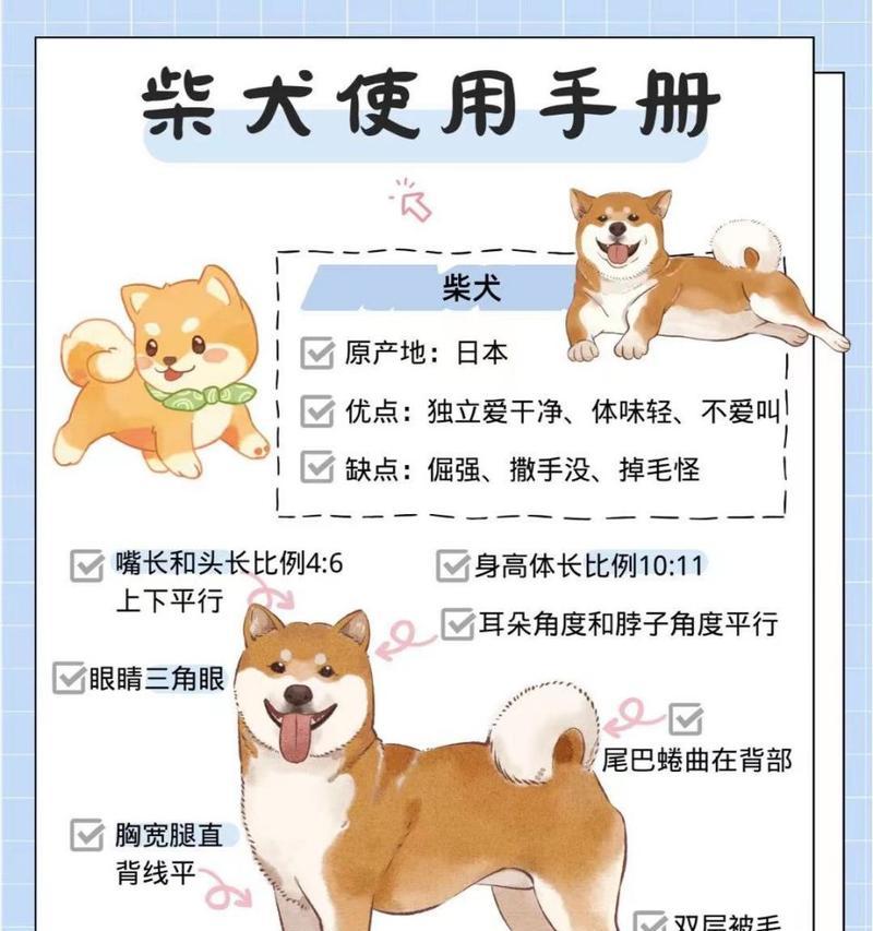 豆柴犬标准体重是多少？超重需注意什么？