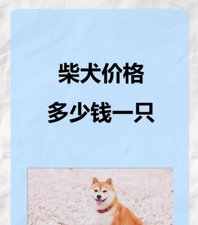 柴犬的价格是多少？