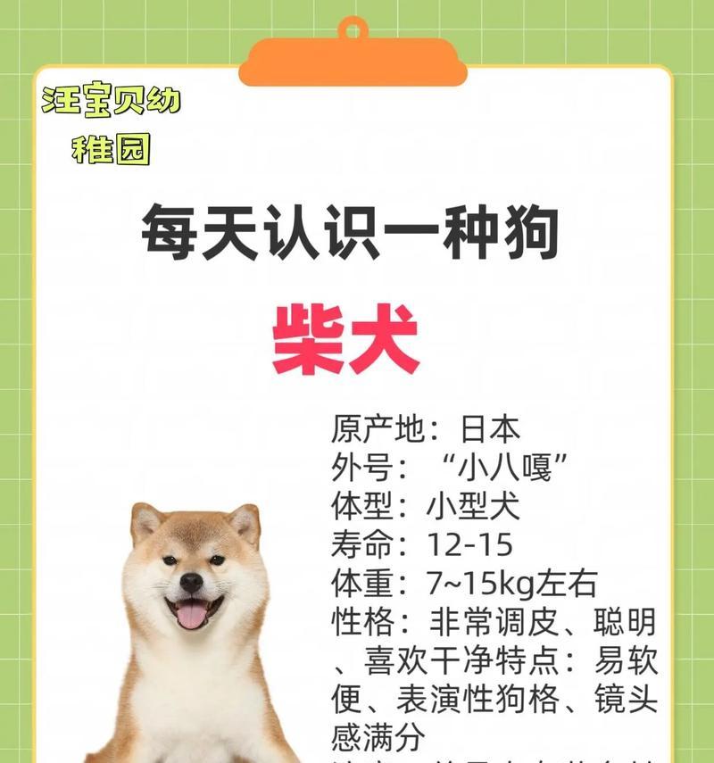 训练柴犬的费用大概是多少？
