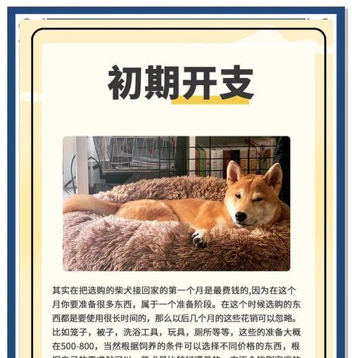 训练柴犬的费用大概是多少？