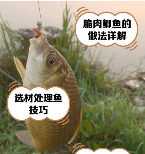 鲫鱼吃鱼苗导致死亡的原因有哪些？如何避免这种情况？