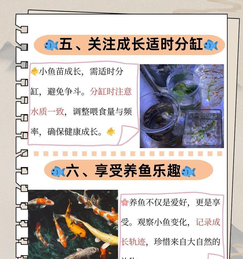 鱼苗喂饱了就死了什么原因？正确的喂养方法有哪些？