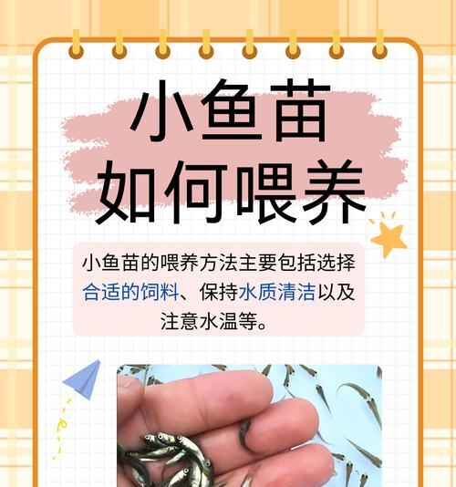 喂食的鱼苗拿什么消毒杀菌？鱼苗消毒杀菌的正确方法有哪些？