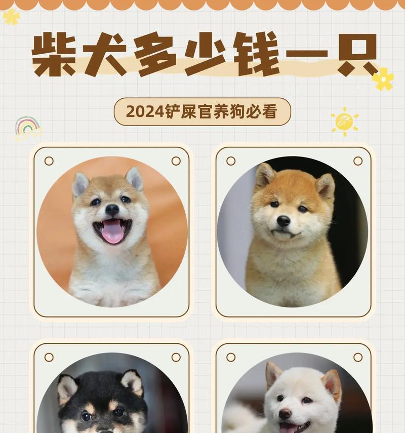 白柴犬串的价格是要多少？购买白柴犬串应考虑哪一些因素？