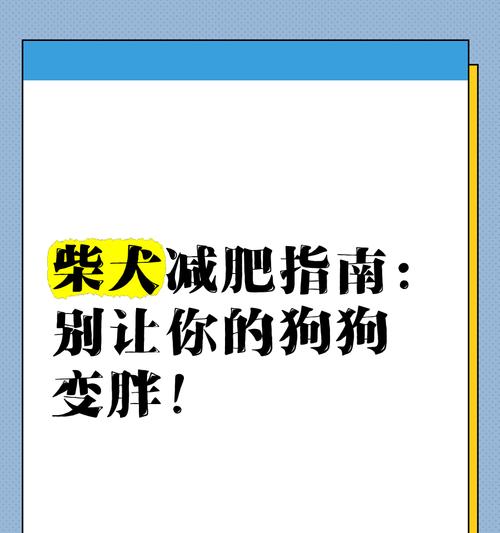 柴犬成年时体重能达到要多少斤？怎么控制柴犬的体重？