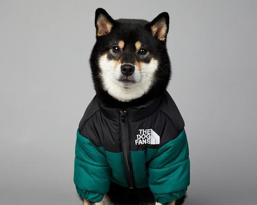 柴犬的防风外套要多少钱一件？