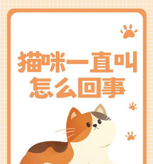  猫咪缺粮叫唤怎么办？快速解决方法有哪些？