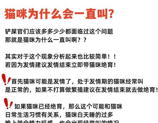  猫咪缺粮叫唤怎么办？快速解决方法有哪些？