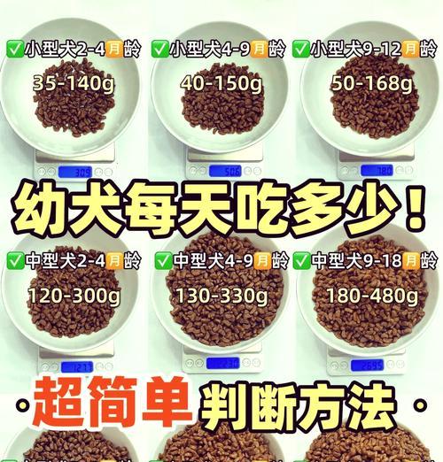 德牧鸡架泥喂食量控制方法？日常喂食量标准是什么？