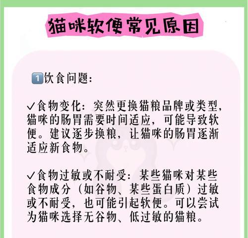 科膳猫粮如何改善软便？其背后的科学原理是什么？
