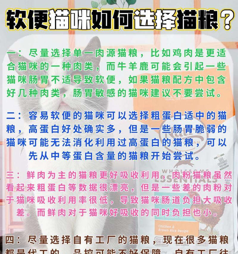 科膳猫粮如何改善软便？其背后的科学原理是什么？