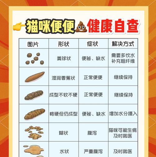 科膳猫粮如何改善软便？其背后的科学原理是什么？