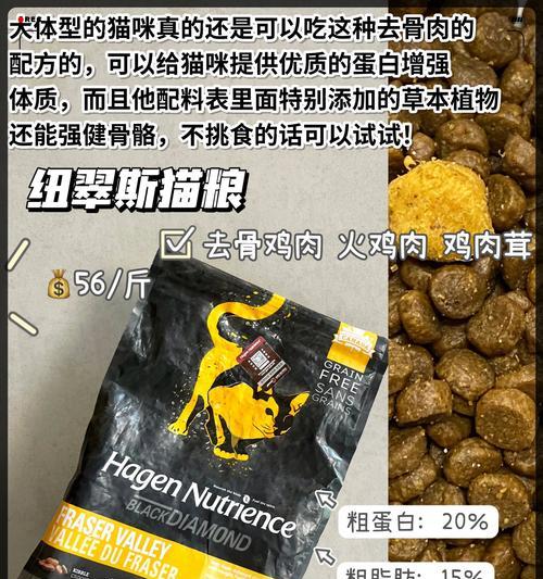 选购猫粮时应关注哪些成分？如何判断猫粮质量？