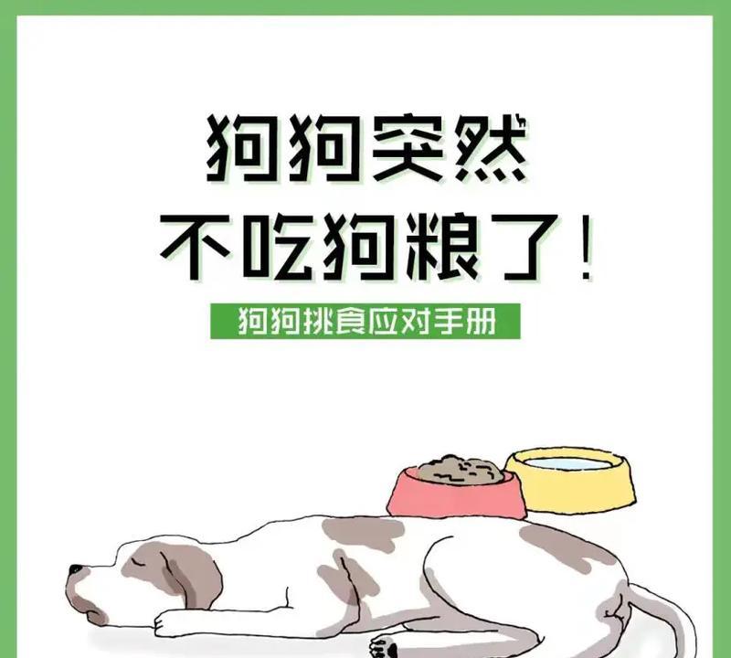 狗狗只喝汤不吃狗粮怎么办？分析可能的原因及解决方法？