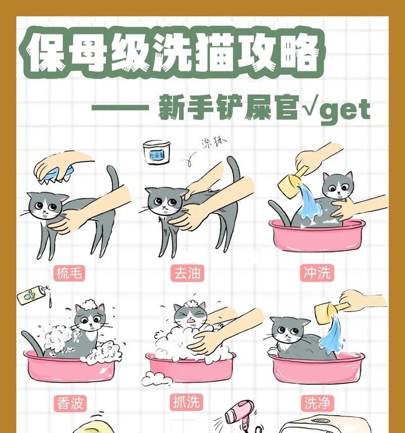  猫咪误饮猫粮洗脚水怎么办？紧急处理方法和预防措施是什么？