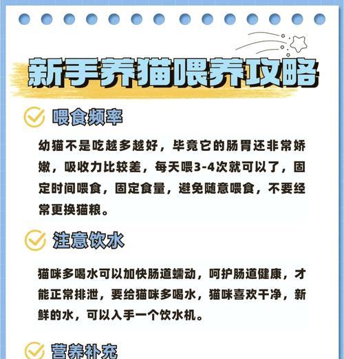 幼猫针管喂猫粮的方法是什么？操作步骤详解？