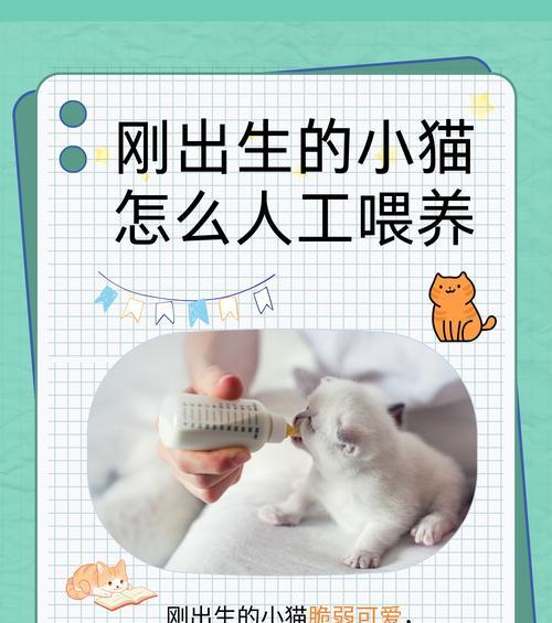 幼猫针管喂猫粮的方法是什么？操作步骤详解？