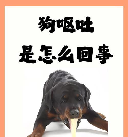 宠物呕吐血丝怎么办？小狗误食猫粮后吐血的处理方法是什么？