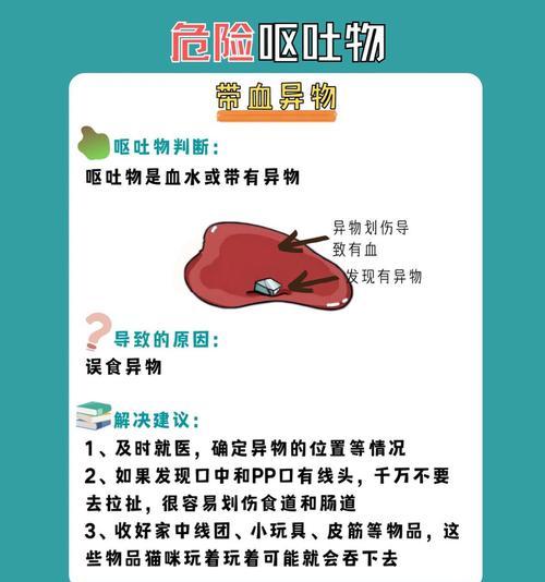 宠物呕吐血丝怎么办？小狗误食猫粮后吐血的处理方法是什么？