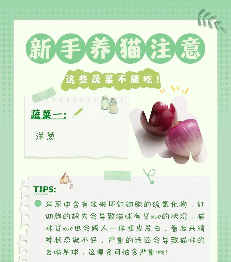 蔬菜成分的猫粮对猫咪有何益处？选择时应注意哪些事项？