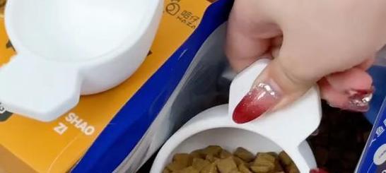 猫粮受潮了怎么办？处理和补救措施有哪些？