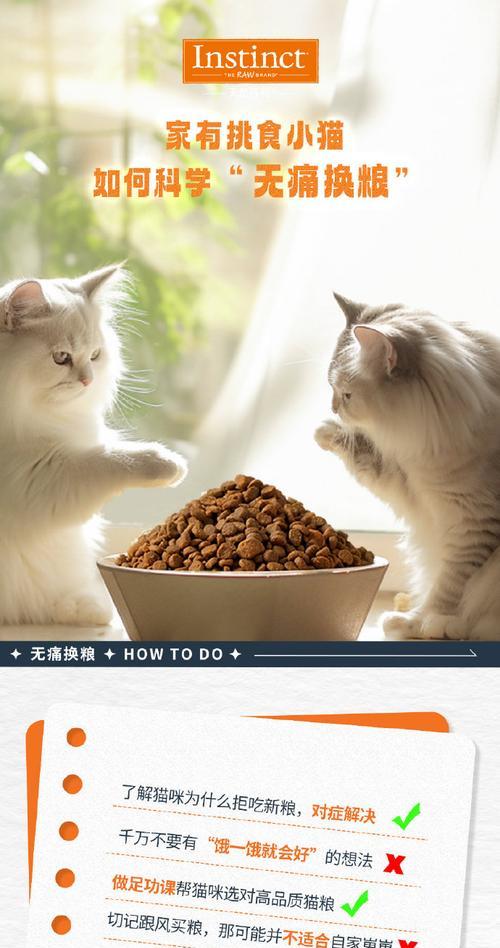 猫咪只吃新猫粮不吃旧的怎么办？