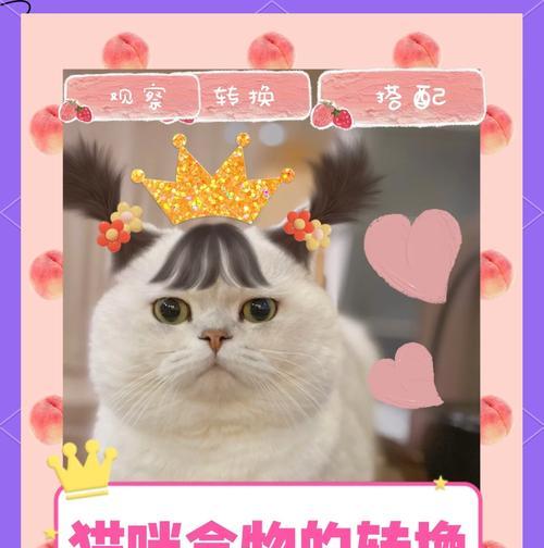 猫咪只爱吃旧猫粮怎么办？如何顺利更换新猫粮？