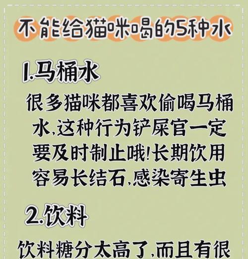 猫粮需要泡水吗？泡水对猫咪健康有什么影响？