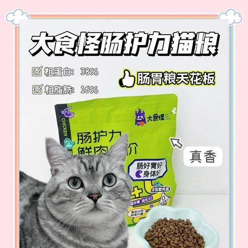 肠胃敏感的猫咪应该吃什么猫粮？如何选择合适的猫粮品牌？