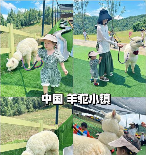 贵州羊驼小镇明天的天气预报是什么？需要带伞吗？