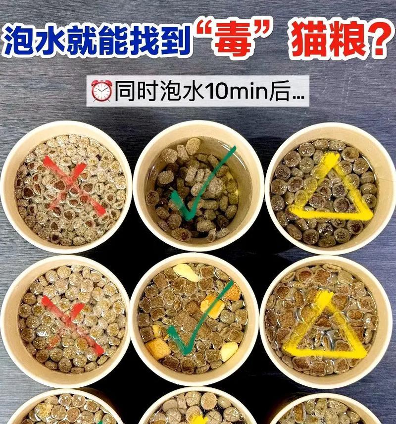 猫粮泡水后特征是什么？辨别猫粮毒素的正确方法有哪些？