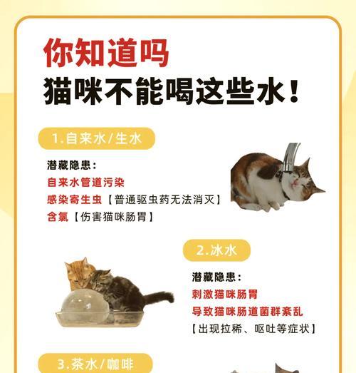 猫粮配水喝的好处是什么？怎样正确给猫咪配水？