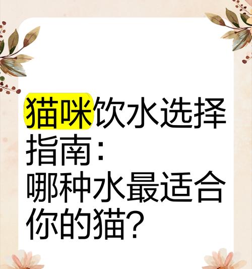 猫粮配水喝的好处是什么？怎样正确给猫咪配水？